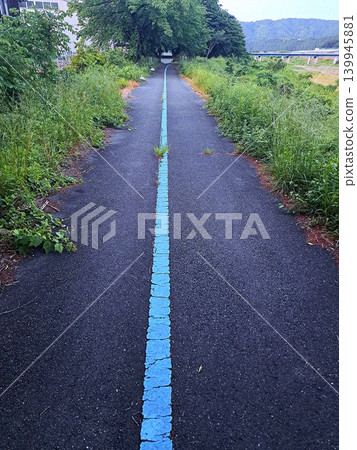 Trails during cool hours 139945881