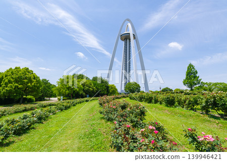 玫瑰與塔樓(愛知縣一宮市) 玫瑰與塔樓(愛知縣一宮市) 139946421