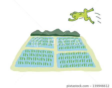 稻田及種植的水稻 - 向量圖 139946612