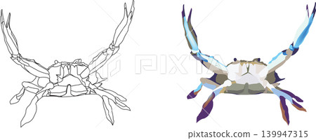 tropical crustacean blue crab aggressive predator- tropical crustacean blue crab aggressive predator- 139947315