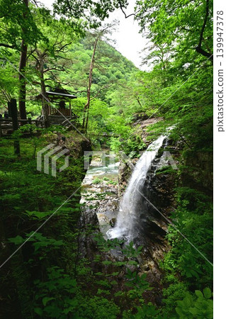 二見瀑布和五龍神社的鬱鬱蔥蔥景色 139947378
