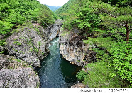 從武藏橋上眺望龍王峽鬱鬱蔥蔥的景色。 從武藏橋上眺望龍王峽鬱鬱蔥蔥的景色。 139947754