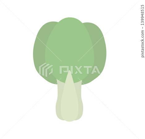 Simple color icon illustration of bok choy Simple color icon illustration of bok choy 139948515