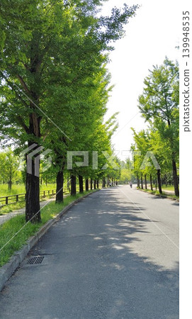 A single road surrounded by fresh greenery A single road surrounded by fresh greenery 139948535