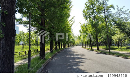 A tree-lined street surrounded by fresh greenery A tree-lined street surrounded by fresh greenery 139948536