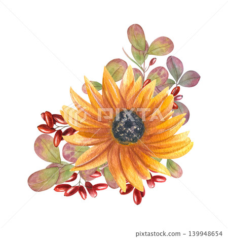 Watercolor sunflower, barberry plant bouquet. Autumn blooming flower head, berries and leaves floral composition. For fall design, wedding invitation, greeting card, and stationery decoration 139948654