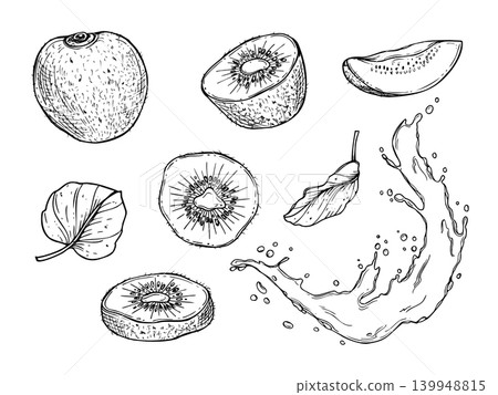 Kiwi fruit set in sketch style. Sweet whole and sliced pods, leaves and juice splash black and white outline illustration. Healthy food design for menu, restaurant, or cookbook concept. Kiwi fruit set in sketch style. Sweet whole and sliced pods, leaves and juice splash black and white outline illustration. Healthy food design for menu, restaurant, or cookbook concept. 139948815