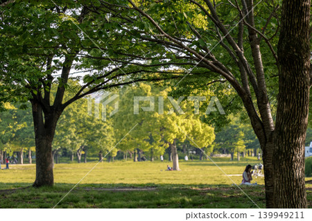  公園 139949211
