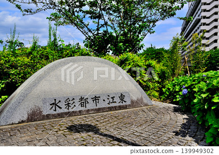 原中川河濱公園周圍的繡球花 原中川河濱公園周圍的繡球花 139949302