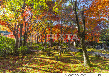 秋天的京都,足野念佛寺被秋葉覆蓋 秋天的京都,足野念佛寺被秋葉覆蓋 139949303