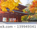 秋天的高野山，秋天的大門和楓葉 139949341