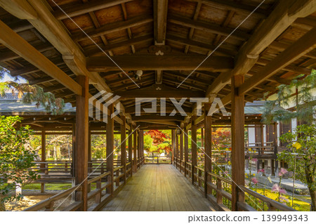 Autumn in Kyoto: Murasame Corridor at Daikakuji Temple Autumn in Kyoto: Murasame Corridor at Daikakuji Temple 139949343