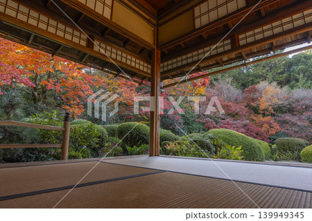 秋天從京都紫仙堂看到的紅葉花園 秋天從京都紫仙堂看到的紅葉花園 139949345