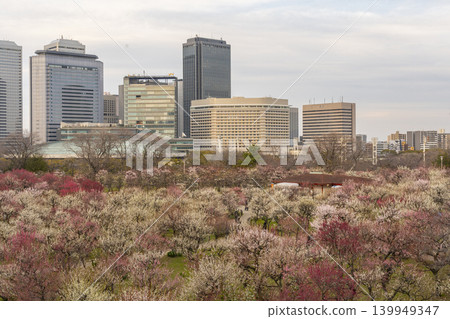 大阪城梅林:梅花盛開,夕陽映照下的大阪商務公園 大阪城梅林:梅花盛開,夕陽映照下的大阪商務公園 139949347