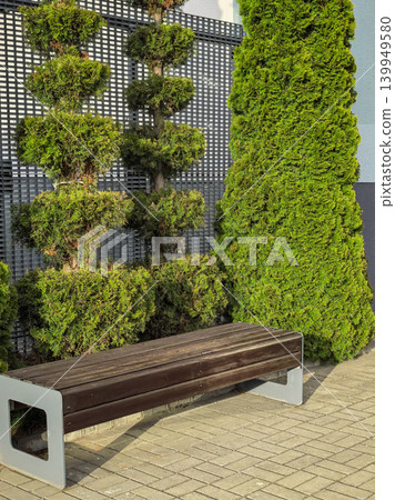 Public Park Bench and Coniferous Trees 139949580