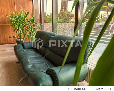 Vintage green leather couch by window with yucca plants in office lobby Vintage green leather couch by window with yucca plants in office lobby 139950283