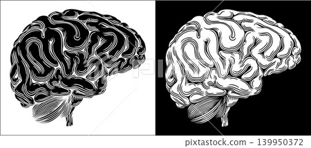 Human Brain Woodcut Vintage Drawing Illustration Human Brain Woodcut Vintage Drawing Illustration 139950372