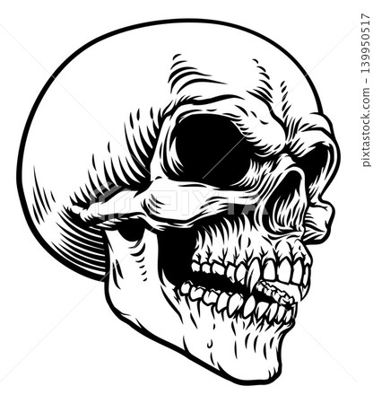 Horror Skull Head Vintage Woodcut Style Drawing Horror Skull Head Vintage Woodcut Style Drawing 139950517