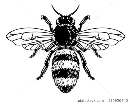 Bumble Honey Queen Bee Honeybee Illustration Bumble Honey Queen Bee Honeybee Illustration 139950740