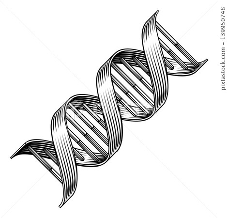 DNA Double Helix Strand Spiral Medical Symbol DNA Double Helix Strand Spiral Medical Symbol 139950748