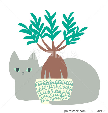 室內植物和一隻灰貓 室內植物和一隻灰貓 139950935