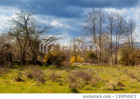 Spring landscape in Bansko Bulgaria 139950972