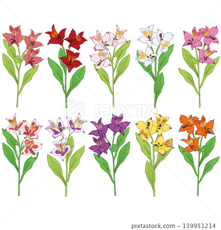 A colorful assortment of alstroemeria flowers. 139951214