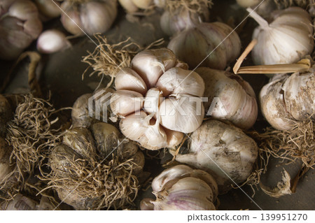 Garlic harvest, growing vegetable, agriculture background Garlic harvest, growing vegetable, agriculture background 139951270