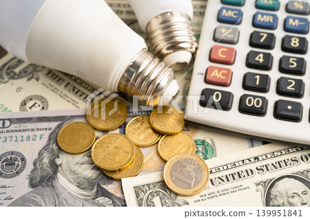 Cost of electric utilities with light bulb for payment. 139951841