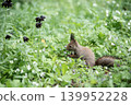 Ezoris of early spring forest 139952228