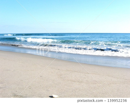 蔚藍的海與沙灘上的貝殼 蔚藍的海與沙灘上的貝殼 139952236