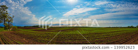 Panoramic view of green agricultural fields. 139952623