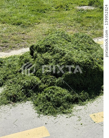 Grass clippings scattered on paved pathway, suitable for nature or gardening background 139952824