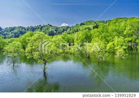 山形縣飯出町白川湖及水下森林綠意盎然 山形縣飯出町白川湖及水下森林綠意盎然 139952829