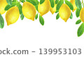 Hand drawn illustration frame with yellow lemons and green leaves. Yellow lemons on a white background for graphic design. Graphic design template.  139953103