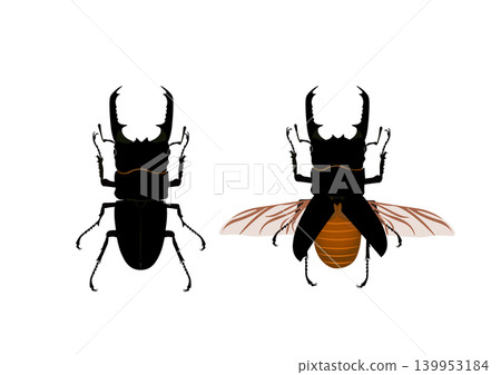 TITANUS TITANUS 139953184