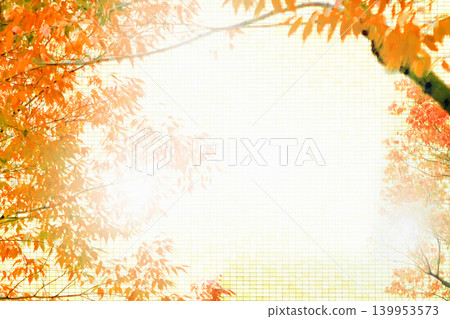 Autumn leaves in town Autumn leaves in town 139953573