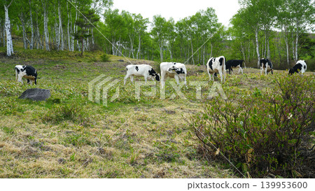 Sugadaira Farm Sugadaira Farm 139953600