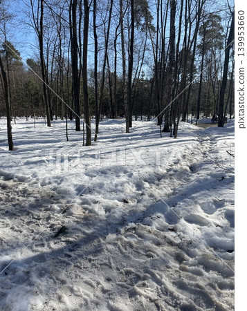 Snow-covered forest path with bare trees on a clear winter day, suitable as landscape background 139953660