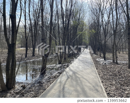 Wooded path in early spring with bare trees and a small pond, perfect for a serene background Wooded path in early spring with bare trees and a small pond, perfect for a serene background 139953662