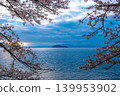 Okishima Island and cherry blossoms 139953902