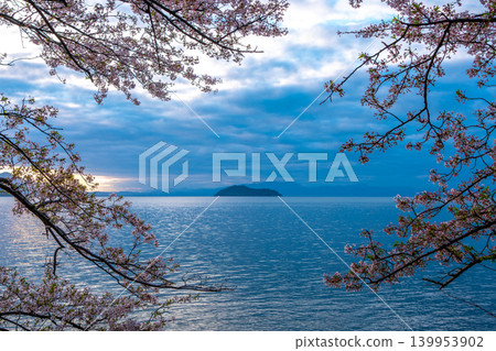 Okishima Island and cherry blossoms Okishima Island and cherry blossoms 139953902