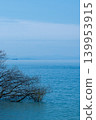 Underwater trees and Lake Biwa 139953915