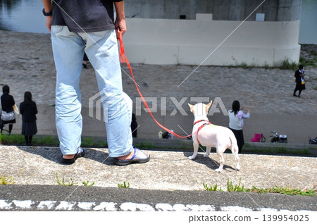 Senior man walking his dog Senior man walking his dog 139954025