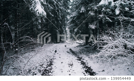 A serene winter scene shows a snow-covered trail winding through a dense forest in Alaska, Canada. The surroundings are peaceful and quiet, creating a picturesque landscape. A serene winter scene shows a snow-covered trail winding through a dense forest in Alaska, Canada. The surroundings are peaceful and quiet, creating a picturesque landscape. 139954449