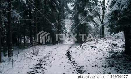 The scene shows a tranquil path through a snowy forest in winter. Tall trees covered in white create a peaceful atmosphere, inviting quiet exploration in Alaska or Canada. The scene shows a tranquil path through a snowy forest in winter. Tall trees covered in white create a peaceful atmosphere, inviting quiet exploration in Alaska or Canada. 139954477