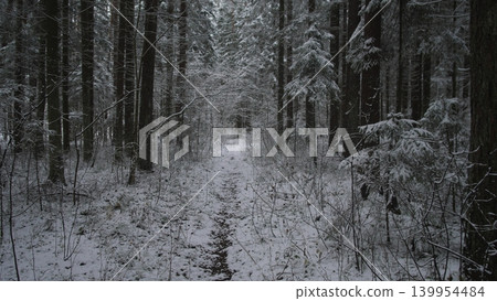 A peaceful forest trail is blanketed in fresh snow, with tall trees standing guard in winter. The beautiful setting in Alaska and Canada offers a serene escape into nature's quiet wonder. A peaceful forest trail is blanketed in fresh snow, with tall trees standing guard in winter. The beautiful setting in Alaska and Canada offers a serene escape into nature's quiet wonder. 139954484