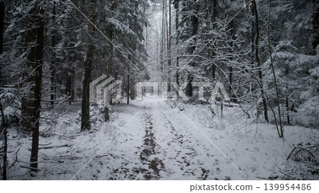 A serene winter scene features a snow-covered pathway winding through a dense forest. Tall trees stand silently, covered in white snow, creating a peaceful atmosphere in Alaska and Canada. A serene winter scene features a snow-covered pathway winding through a dense forest. Tall trees stand silently, covered in white snow, creating a peaceful atmosphere in Alaska and Canada. 139954486