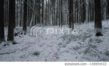 Snow blankets the ground in a serene winter forest in Alaska or Canada. Tall trees stand majestically, creating a peaceful and quiet atmosphere. Snow blankets the ground in a serene winter forest in Alaska or Canada. Tall trees stand majestically, creating a peaceful and quiet atmosphere. 139954513