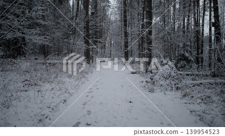 A serene winter scene captures a snow-covered path winding through a dense forest. Tall trees stand tall, blanketed in snow, with faint footprints marking the journey. A serene winter scene captures a snow-covered path winding through a dense forest. Tall trees stand tall, blanketed in snow, with faint footprints marking the journey. 139954523